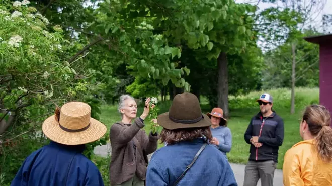Image: LESSONS FROM THE LAND - Walking in Wonder with The Outside Institute