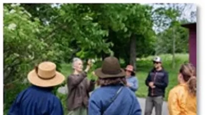 Image: LESSONS FROM THE LAND - Walking in Wonder with The Outside Institute