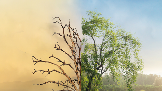 Image: Let's Talk: Mental Wellness in the Face of Climate Change
