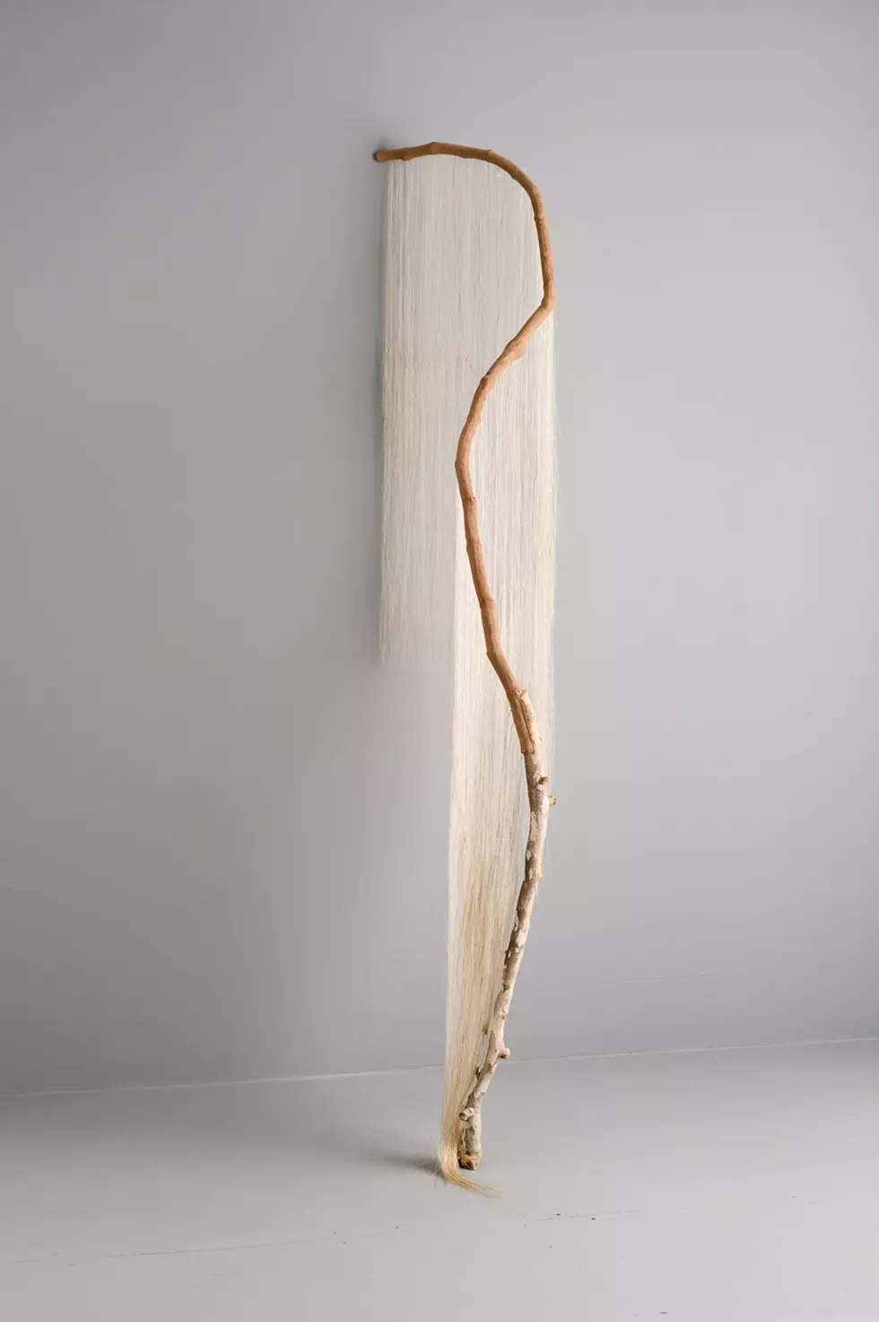 Millicent Young, liminal, grapevine, sycamore, horse hair