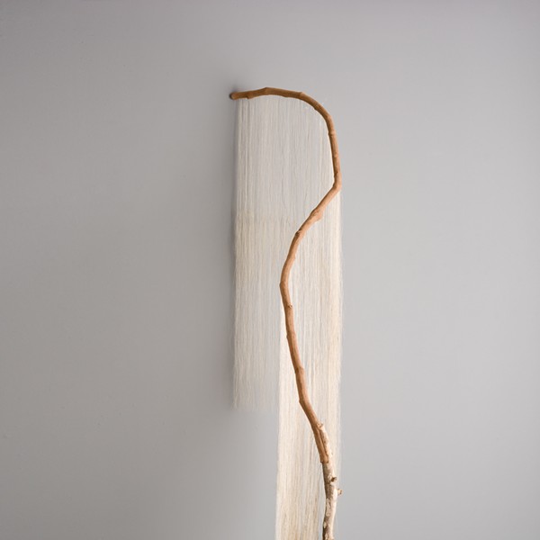 Millicent Young, liminal, grapevine, sycamore, horse hair