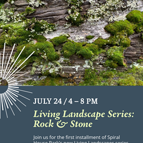 Image: Living Landscape Series: Rock & Stone