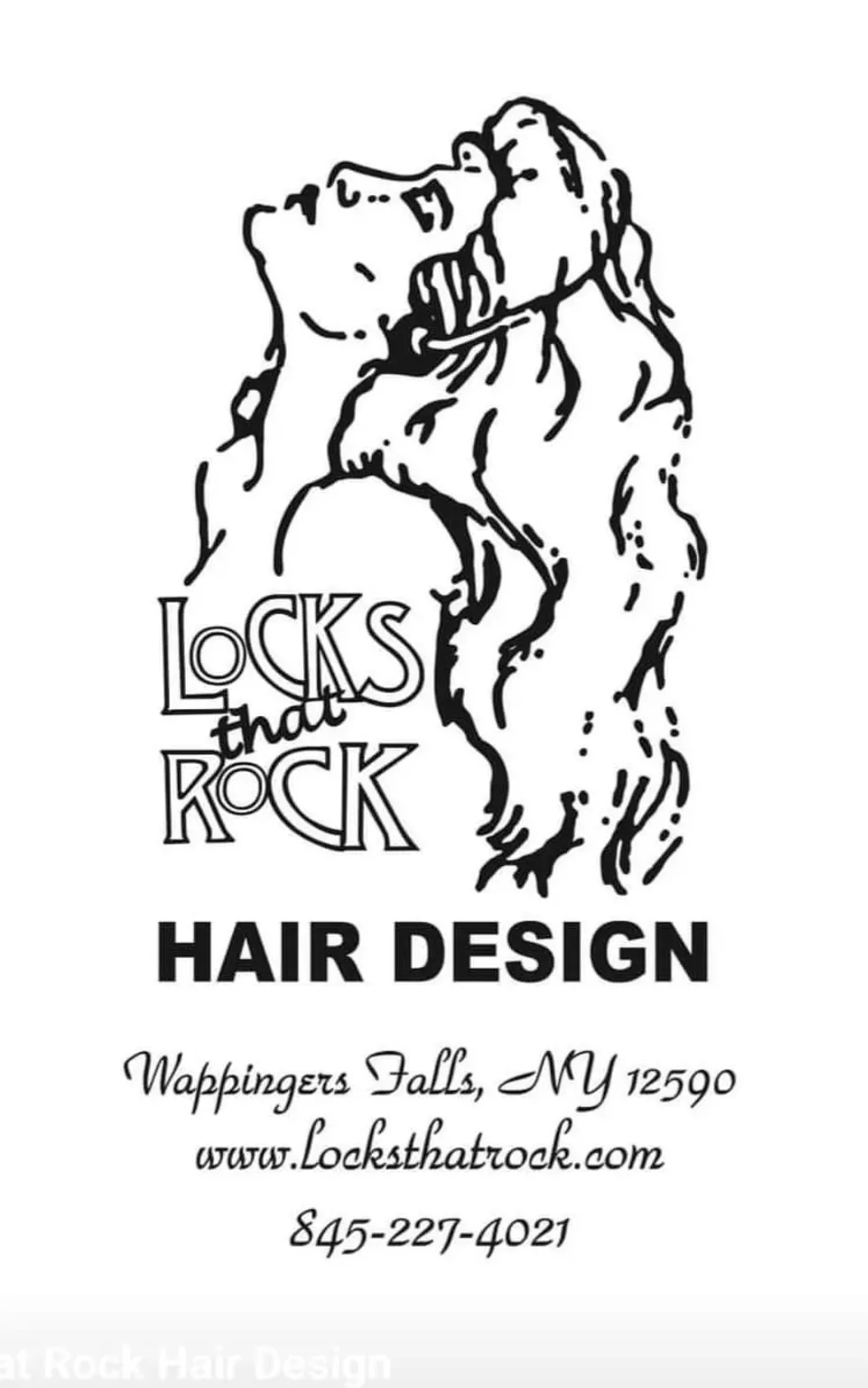 Locks That Rock Hair Design