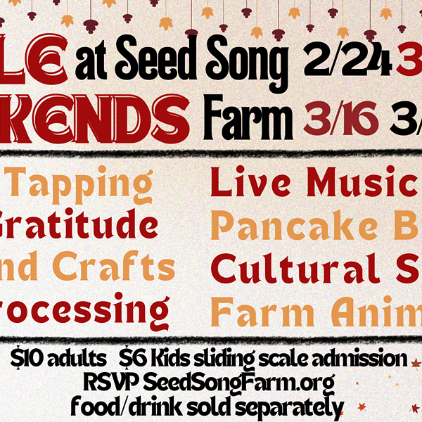 Maple Weekends at Seed Song Farm