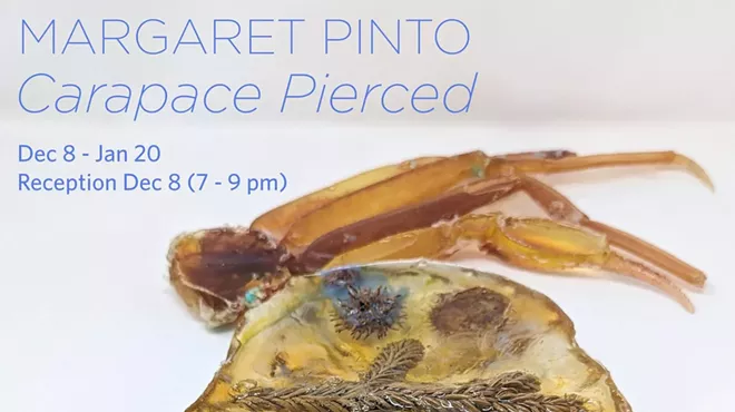 Image: 𝘾𝙖𝙧𝙖𝙥𝙖𝙘𝙚 𝙋𝙞𝙚𝙧𝙘𝙚𝙙, Margaret Pinto Solo Exhibition