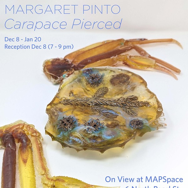 𝘾𝙖𝙧𝙖𝙥𝙖𝙘𝙚 𝙋𝙞𝙚𝙧𝙘𝙚𝙙, Margaret Pinto Solo Exhibition