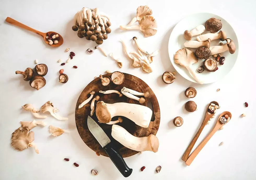 poster_board_medicinal_and_culinary_mushrooms.webp