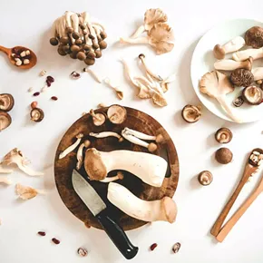 Image: Medicinal and Culinary Mushrooms: A Talk with Yael Bernhard