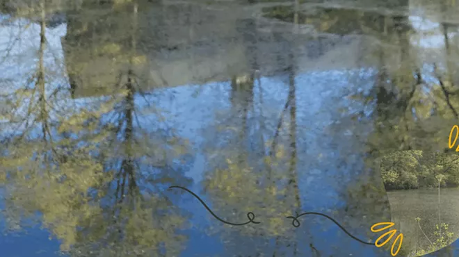 Image: Meditation on the Farm