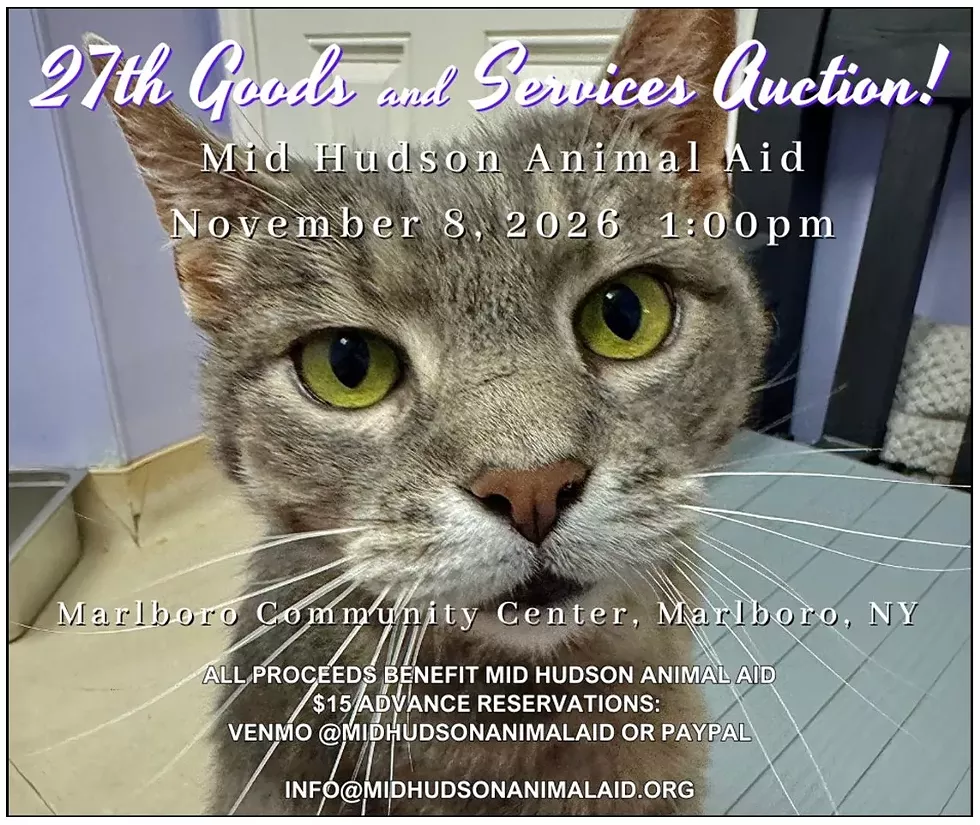 MHAA Goods and Services Auction 11/8/26