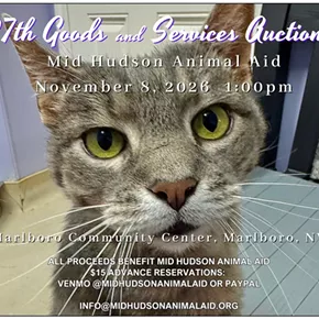 Image: Mid Hudson Animal Aid Goods and Services Auction