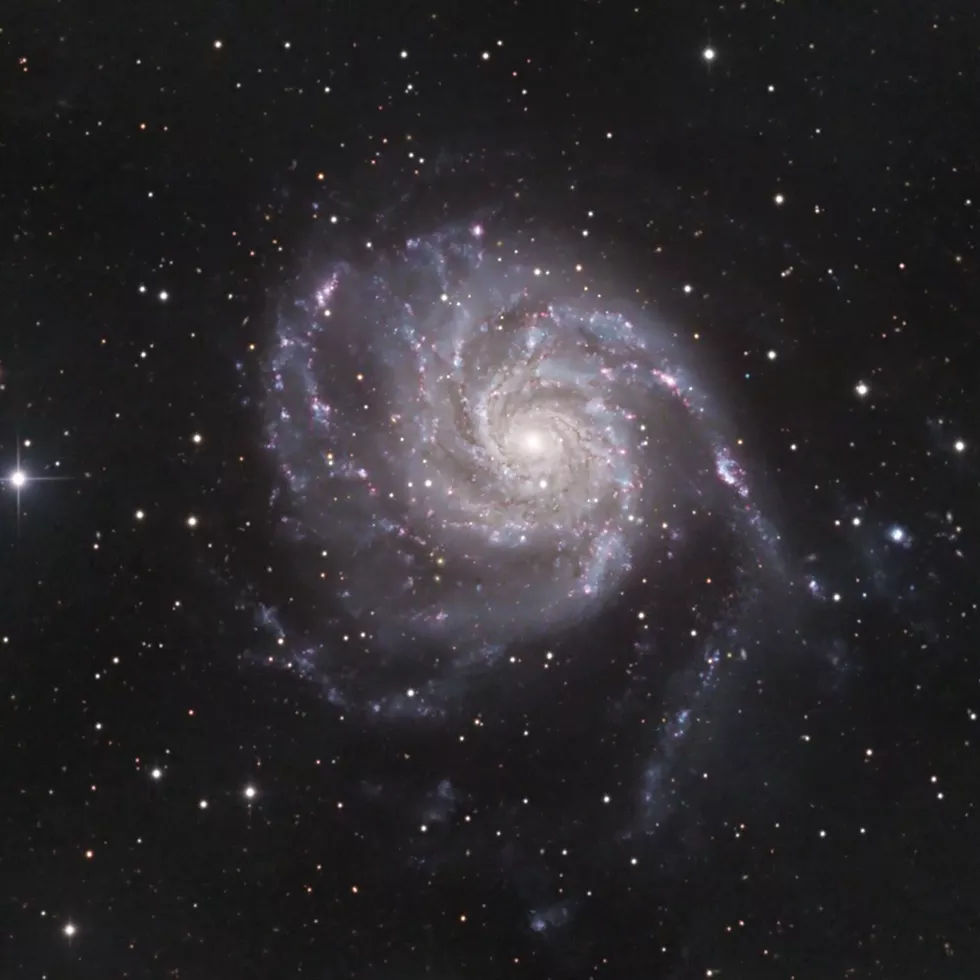 m51