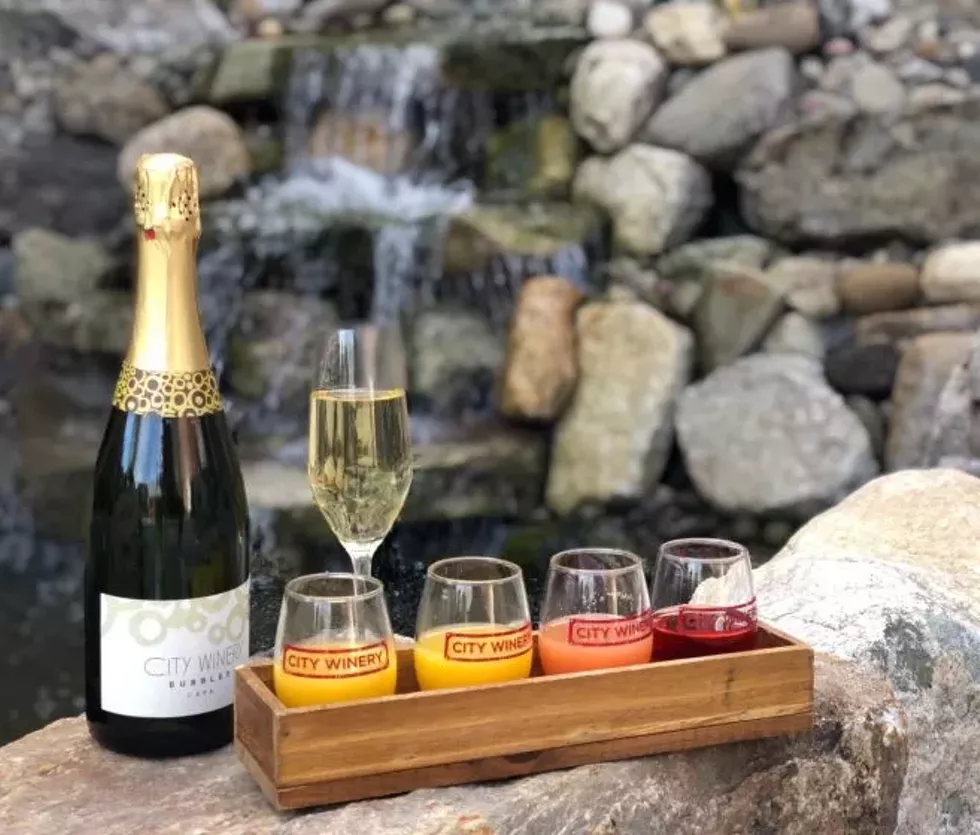 mimosas.webp