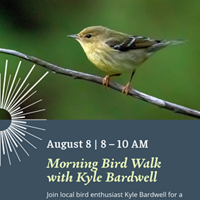 Image: Morning Bird Walk with Kyle Bardwell