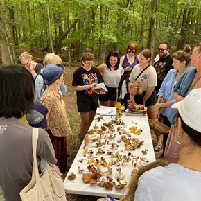 Image: Mushroom Walk with Chris Baker
