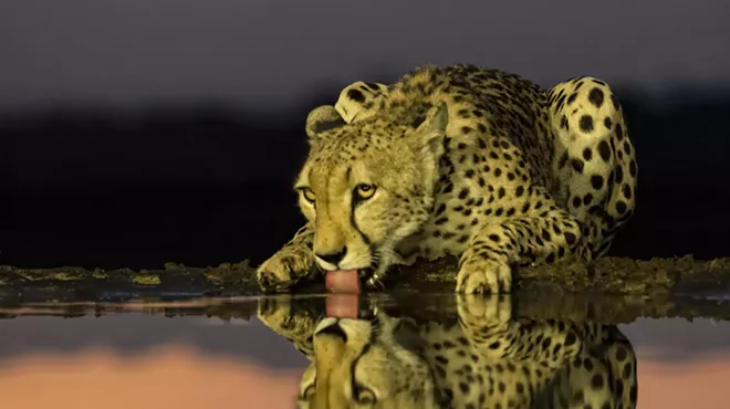 Image: "My Heart Belongs to Africa": Photographs by John Lipkowitz