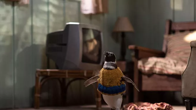 Image: My Penguin Friend