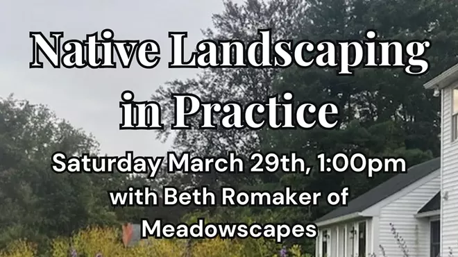 Image: Native Landscaping in Practice with Beth Romaker