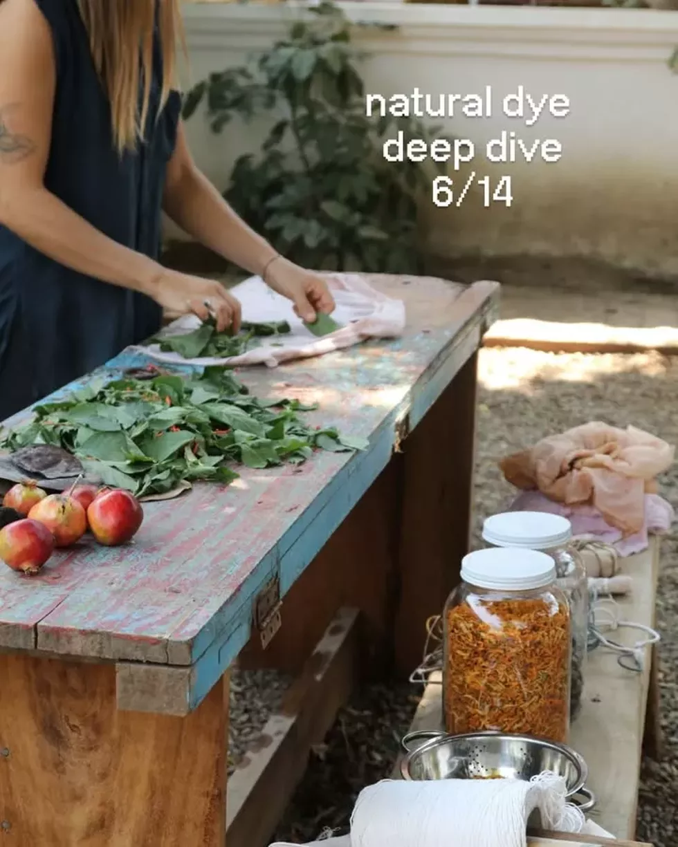 Natural Dye Deep Dive with Hanoux