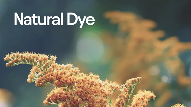 Image: NATURAL DYE WORKSHOP