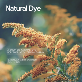 Image: NATURAL DYE WORKSHOP