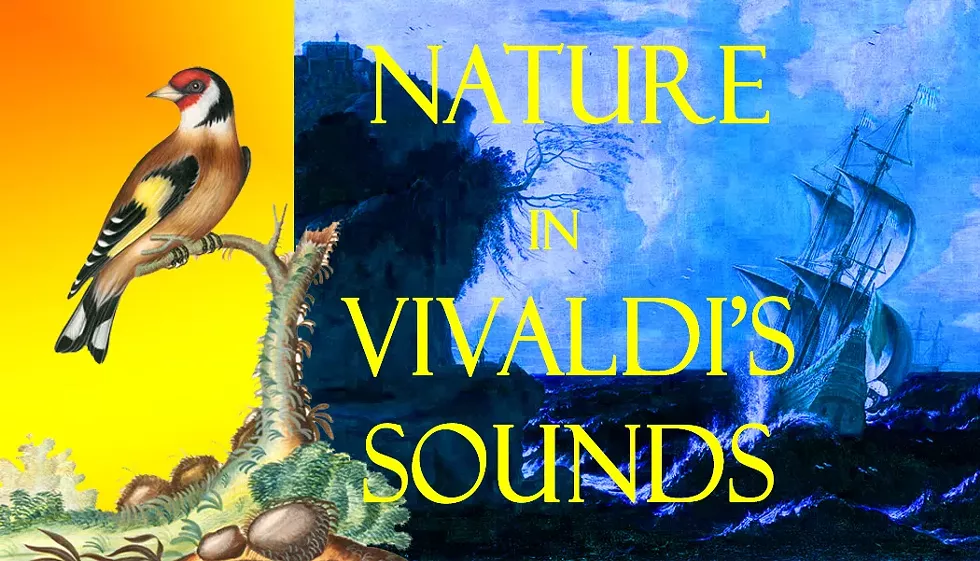 oct_2024_vivaldi_orchestra-2.webp