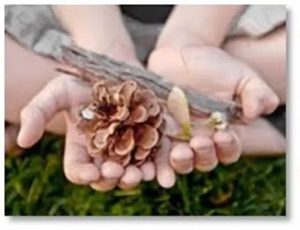 staatsburgh-nature-walk.webp