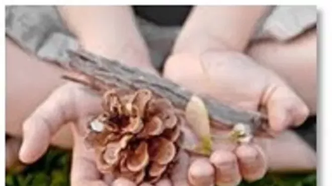 Image: Nature Walk and Craft