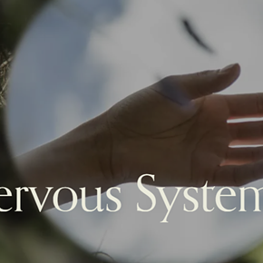 Image: Nervous System Reset