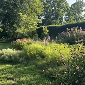Image: New Gardeners Workshop