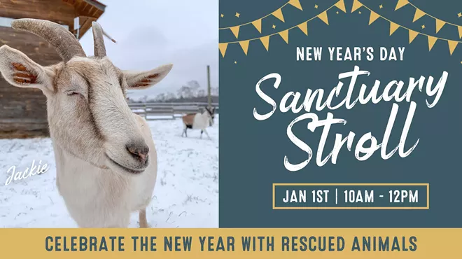 Image: New Year's Day Sanctuary Stroll