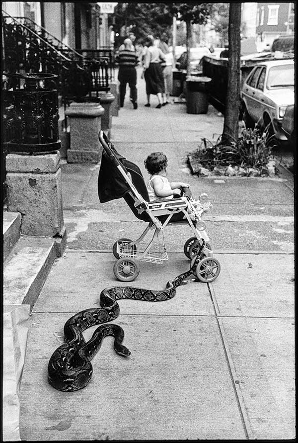 New York City, 1985, Leonard Freed