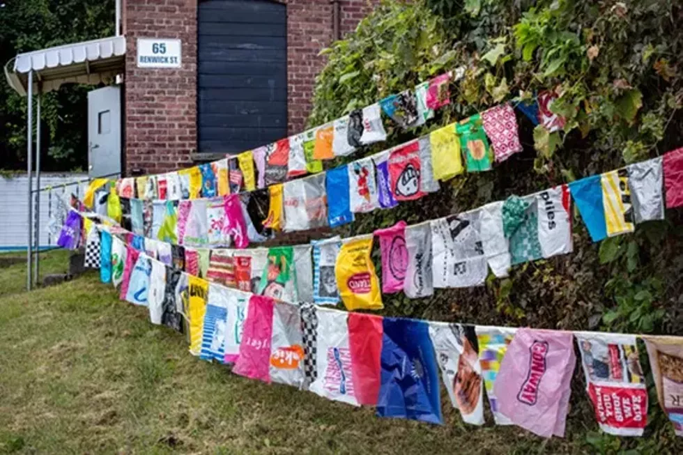 802aaaf3_jthomas65renwickflagsnytimes2.webp