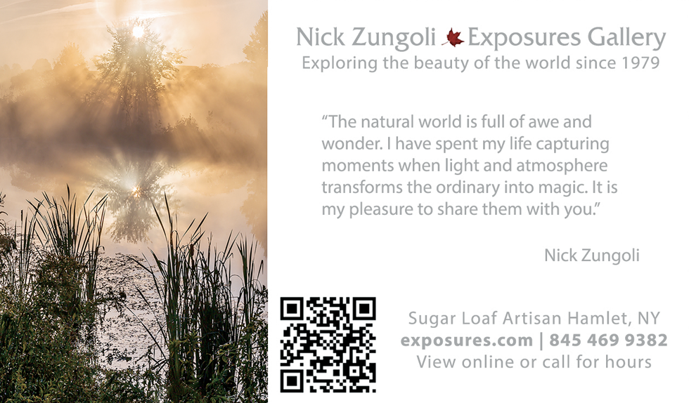 exposures_gallery.png