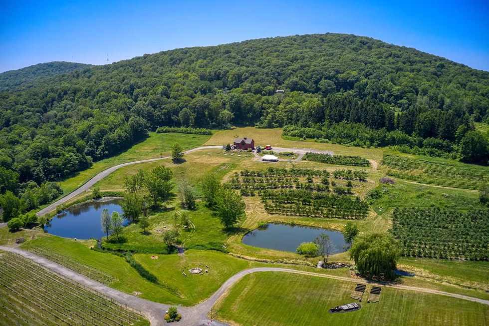 Nostrano Vineyard