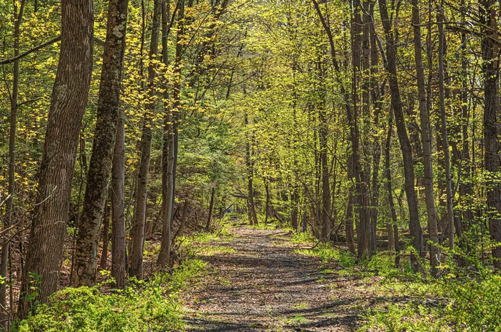 O&W Rail Trail
