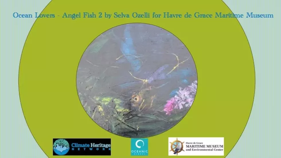 Ocean Lovers - ANGEL FISH 2 by Selva Ozelli