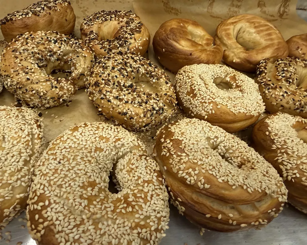 learn to make Old World New York bagels!
