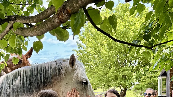 Image: Open Days at Unbridled Sanctuary
