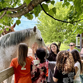 Image: Open Days at Unbridled Sanctuary