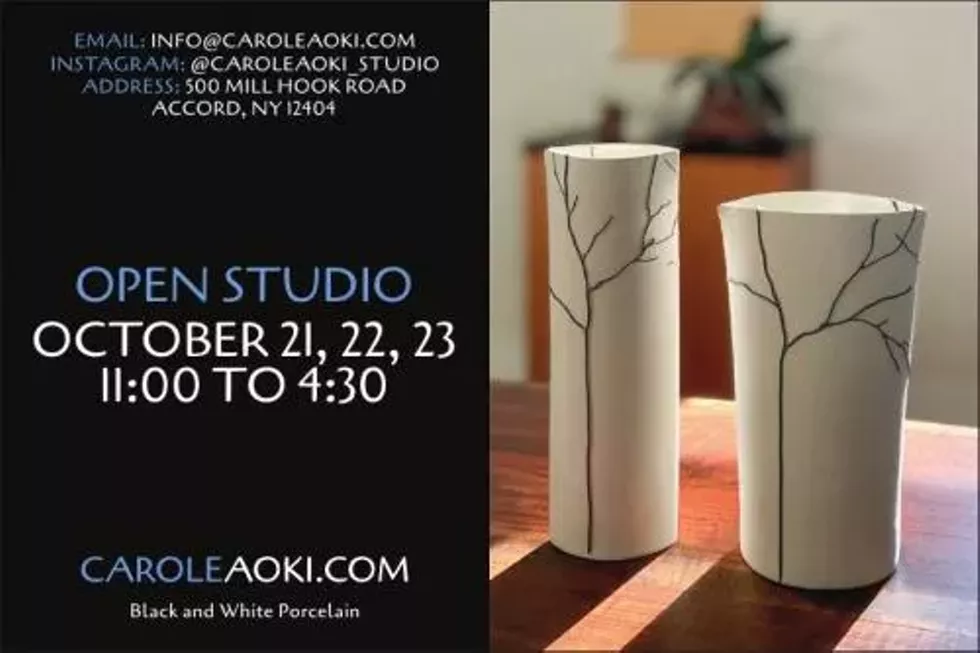 Carole Aoki Studio