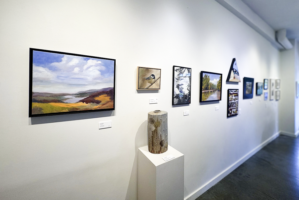 2025 ASV Preview Exhibit
