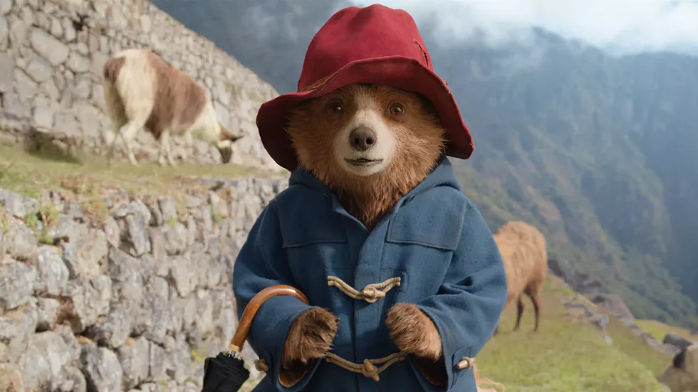Paddington in Peru is the third installment in the Paddington film series.