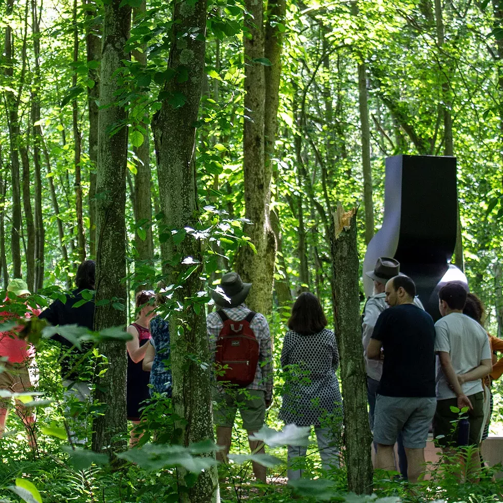 Tour of the Sculpture & Architecture Park at Art Omi.