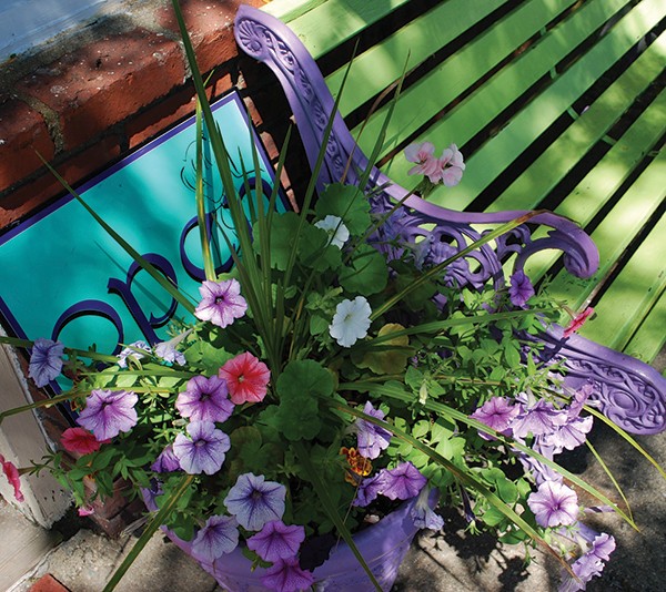 Petunias need to be deadheaded for compactness and optimum bloom.