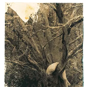 Image: Photo Club: Polaroid Lifts with Rule of Thirds
