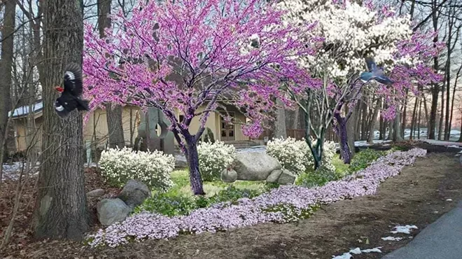 Image: Planning Your Pocket Native Plant Garden