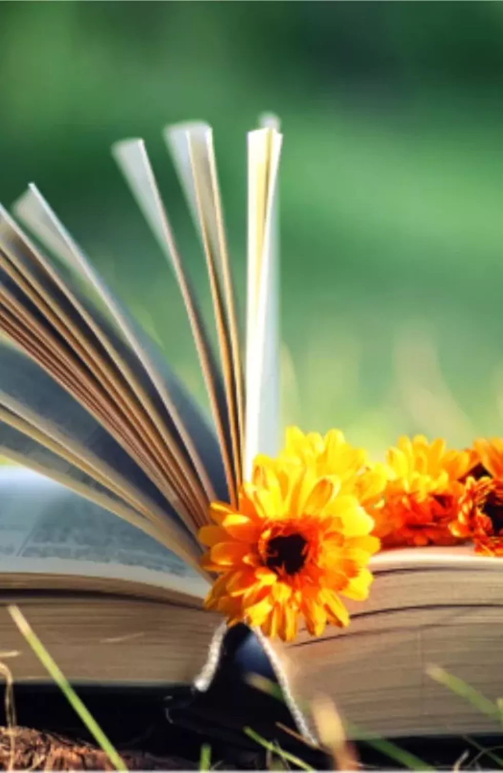 poetry.webp