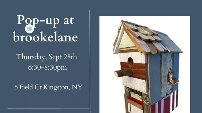 Image: Pop-up - Lee Danziger