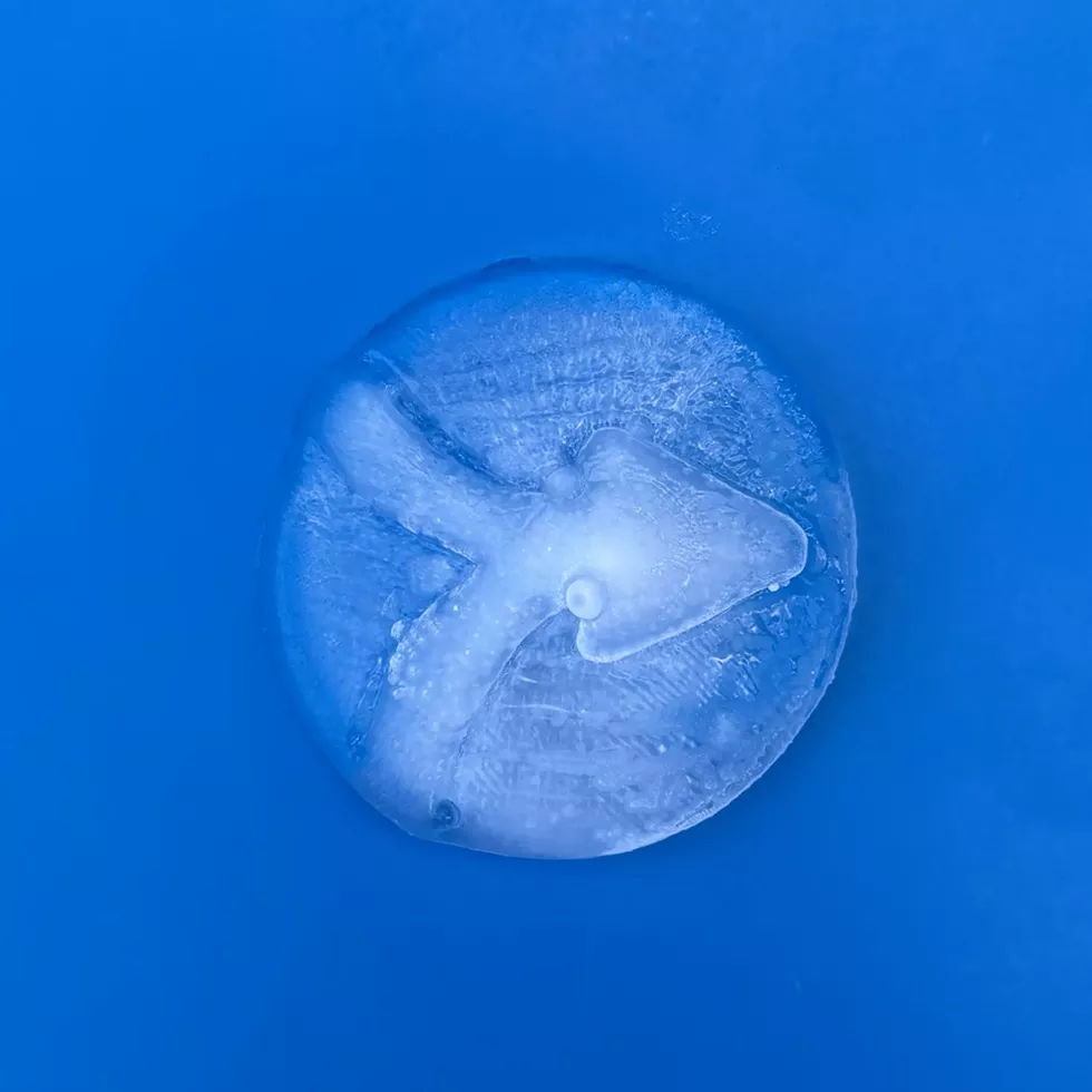 Power Object, &ldquo;Coming Together,&rdquo; frozen Wallkill water
